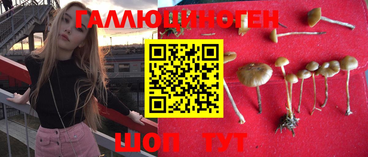 Орёл  Псилоцибиновые грибы ЛСД  Вход с VPN 